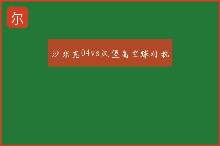 沙尔克04vs汉堡高空球对抗